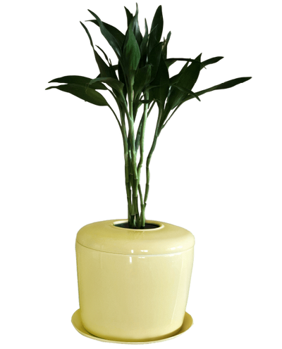 The Living Urn Indoors / Patio - Belk