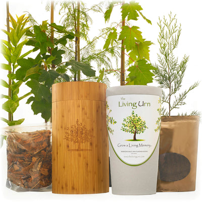 River Birch - SereniCare