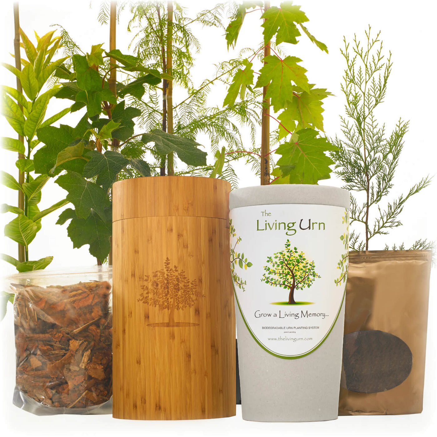 Living Urn System Only (use with your own tree, plant or flowers) - Blake