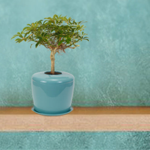 The Living Urn Indoors / Patio - Belk
