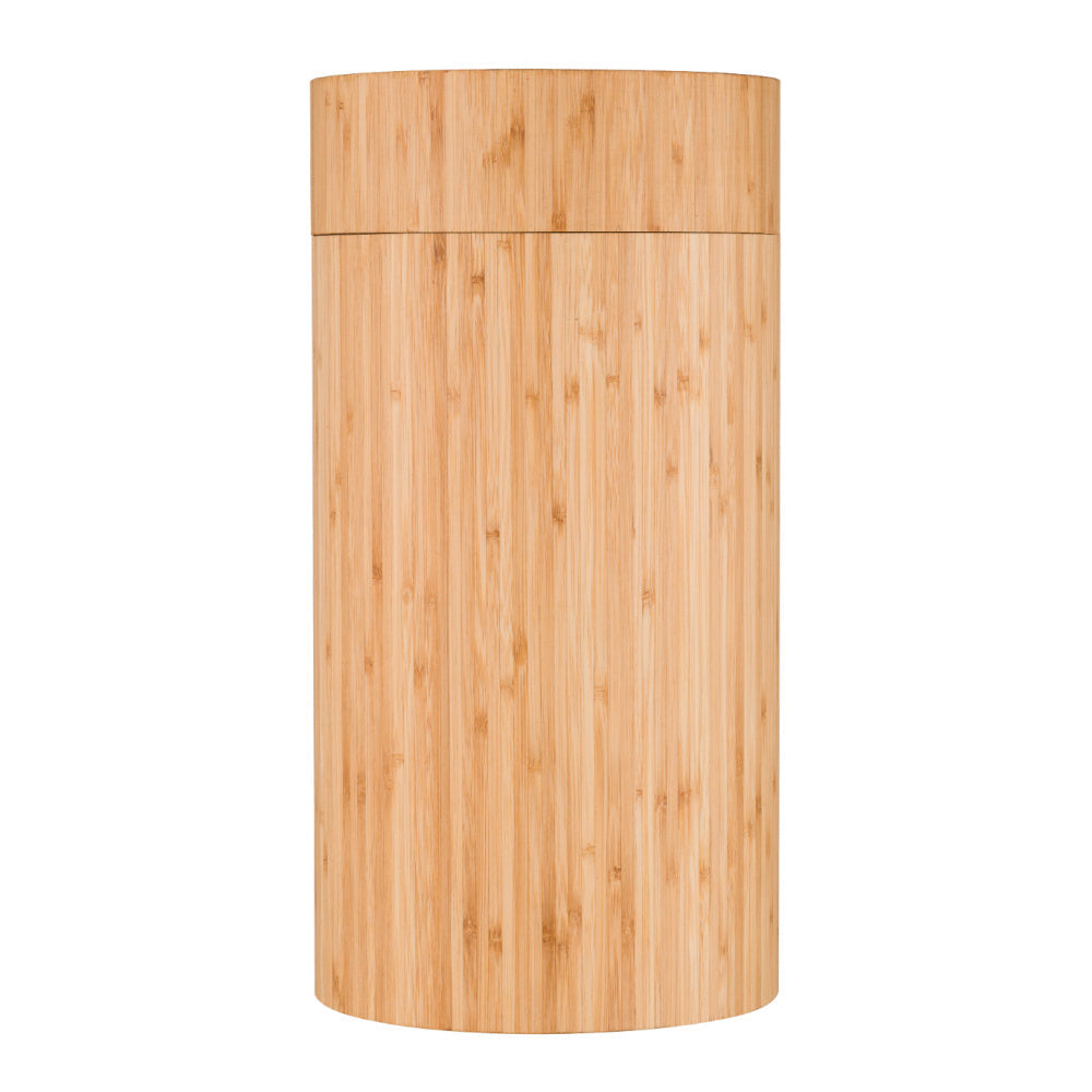 Ginkgo Biloba