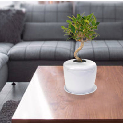 The Living Urn Indoors / Patio - Belk